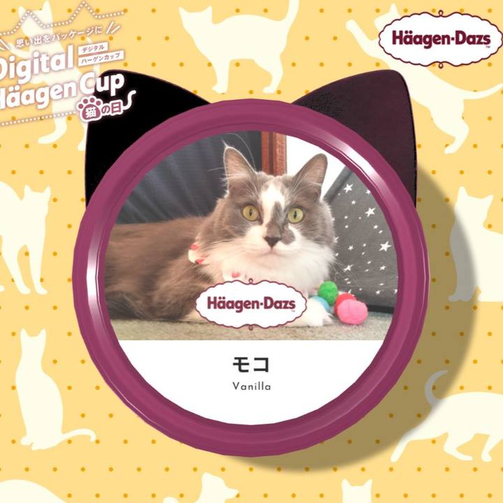 E5fe5885 c5c4 47c4 9950 3c36d268c2d7 1708656900699