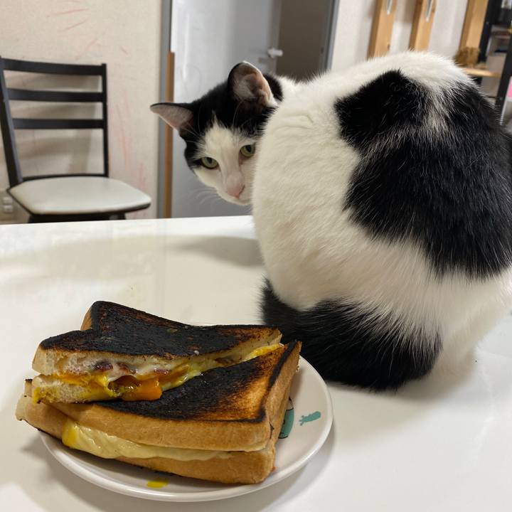 E5fe6403 a245 4ff8 8141 e08d86dbccd6 1648682605081