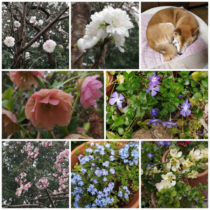 E5fe73b9 cc29 4b5c a6cf 54f0ebcde391 1616681613909