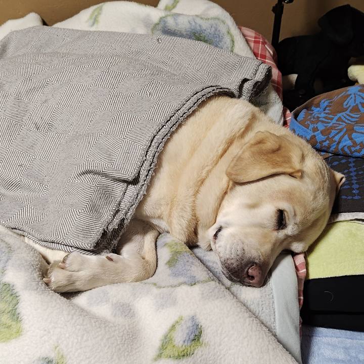 E5fe8df5 0303 4816 8c0a a3b609aea9f7 1765009323141