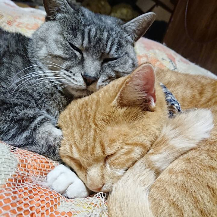 E5feb146 c903 425f 84e3 1c03f5d8b9b2 1574598898790