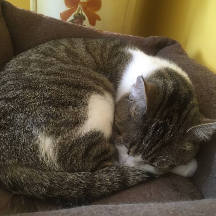 E5fec28d ff6f 4199 9f60 0571bac0f9a6 1633481907410