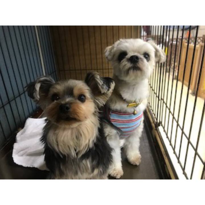 E5ff4a98 f7bb 4939 8792 d37f607ddc2d 1572344720462