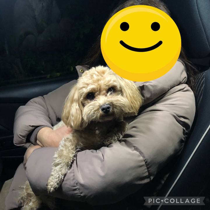 E5ff6d13 2dd7 42bb 9ead f6a3fc057337 1644014311935