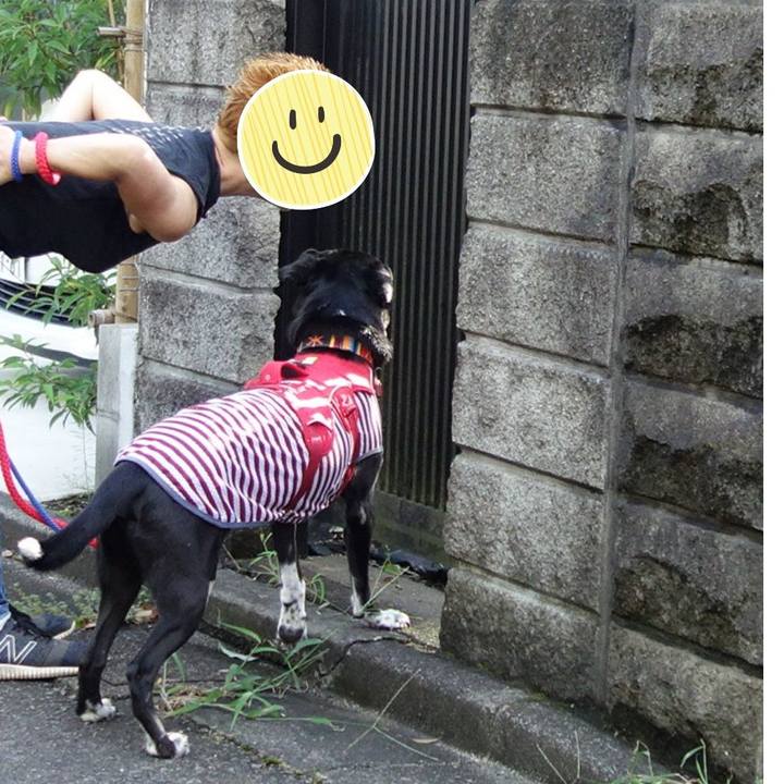 E5ff7c8f e738 4c17 98c6 b6ab184b038f 1599523692108