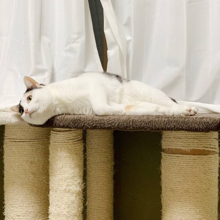 E5ff7e6f 2b3a 456a bc9c 9269035f3406 1550626590375