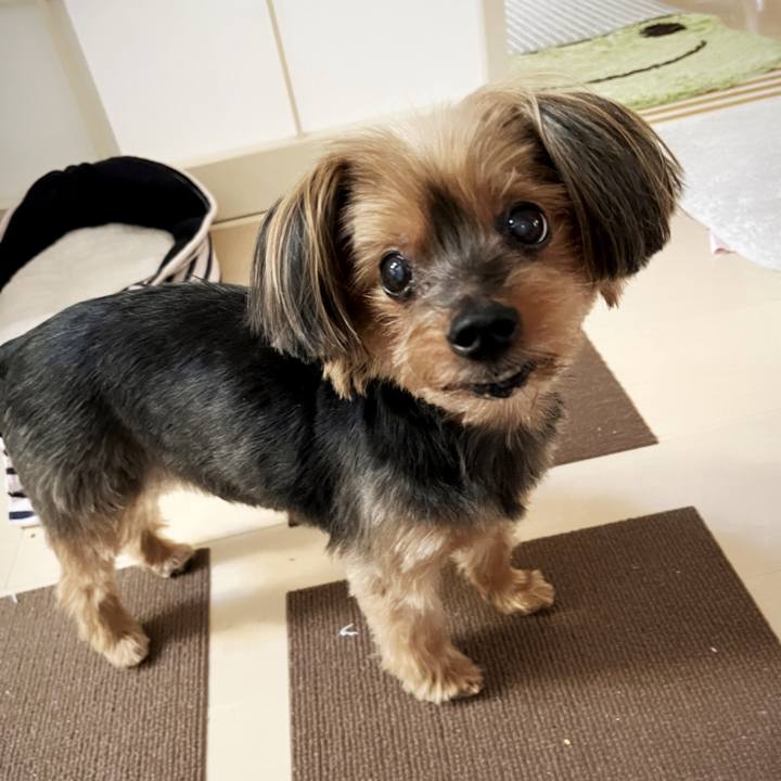 E5ffdb2a 7c45 45ab 8f54 a5c9701a9993 1712831265848