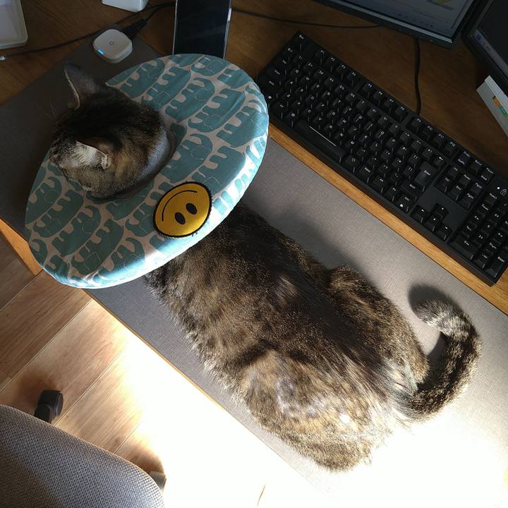 E5ffee74 7505 4580 93ae 66ab5379fb3f 1742516631464