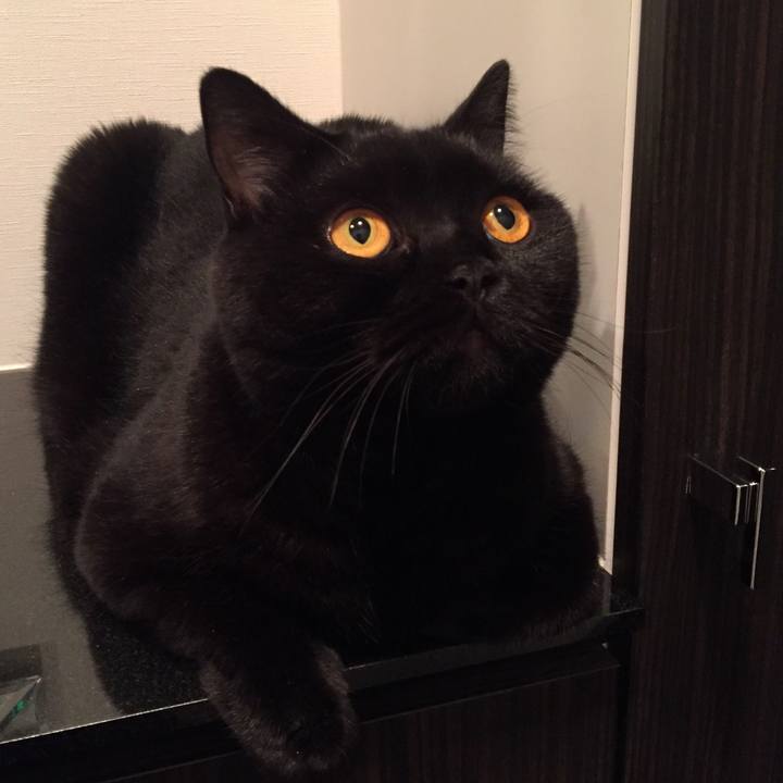 E5fffd22 2e82 4214 8362 57c41ff5cd2e 1571490949623