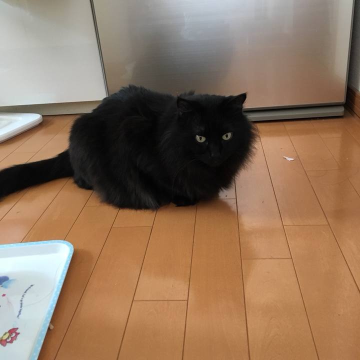 E6000c6c f8d9 4cdf 8d5e f03af5d456f4 1550814551100