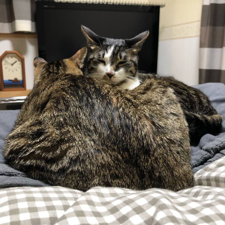 E60016e0 cd41 46a3 9482 a93a87db095e 1518499748087