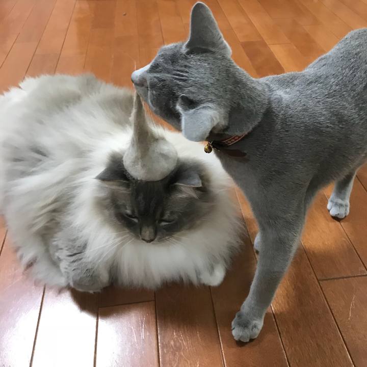 E6004540 ca58 4cf1 8b61 b625afb917e7 1524356284755