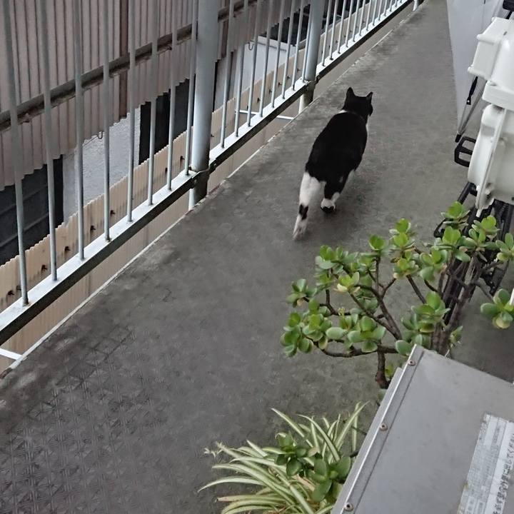 E6005c6b ee9c 4201 9260 5ccb8a465feb 1674519844222