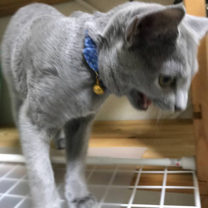 E6007a57 1418 408d be89 0375fdd32e65 1508578283534