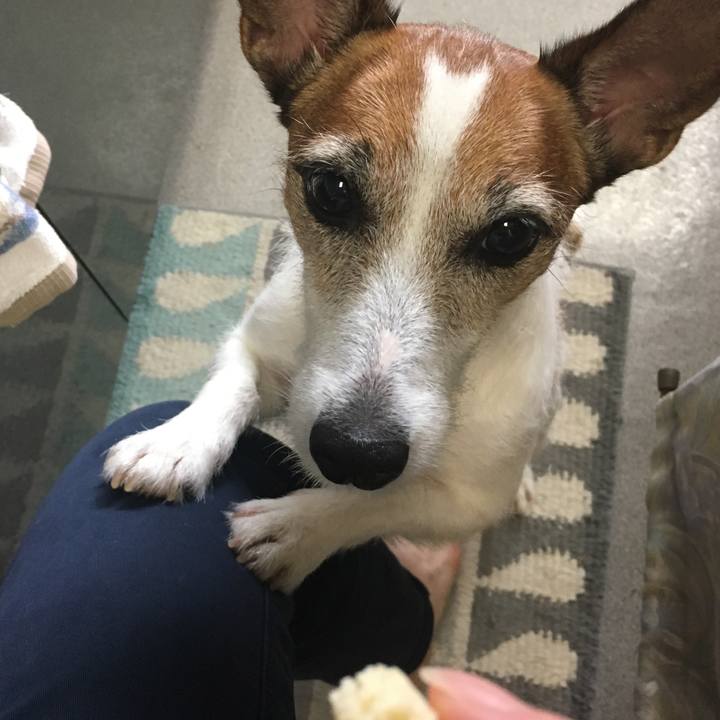 E600aed7 3a63 4a7e b481 5559807fc046 1566877506373