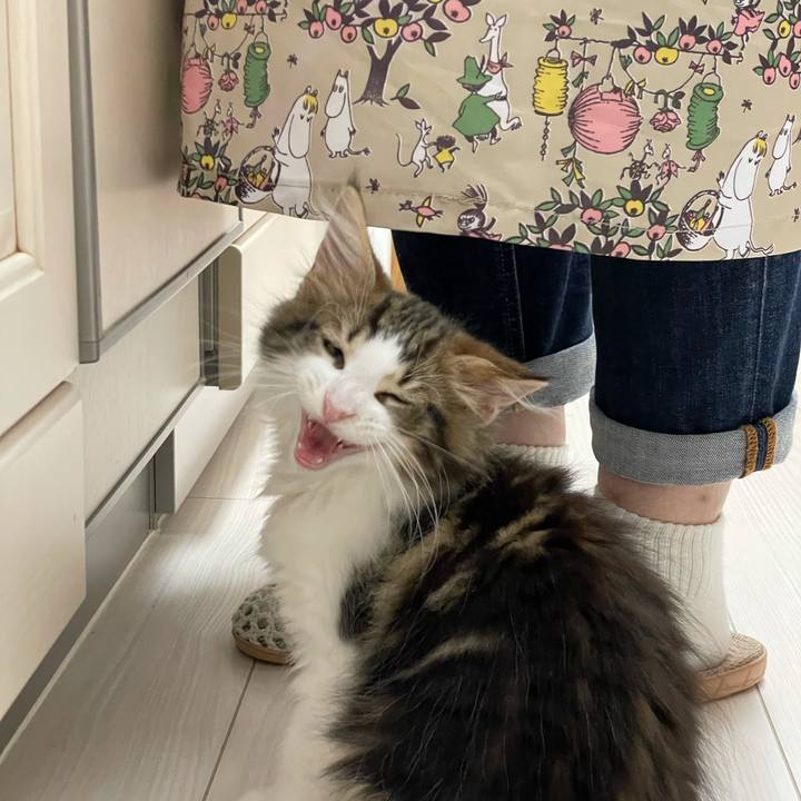 E600e3fc bbde 46dc a716 72f35477db0d 1632642378531