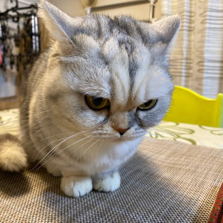 E60125a6 a6d8 4edd 9939 20c68b2041a0 1740042473945