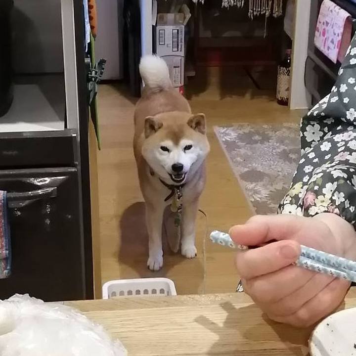 E6012dfe f790 4452 9cbe ccaf8e429a51 1590451454707