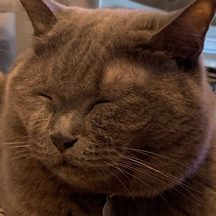 E60146c7 c7e9 47af a0b3 fd89891617bf 1696684905690