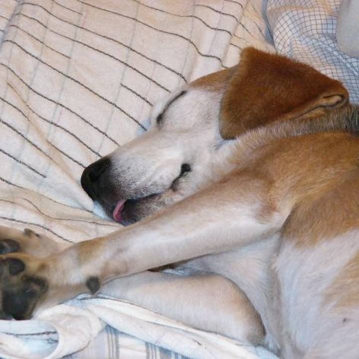 E6017f9e 05c1 434c 92a4 0b7b7292059d 1649379692223