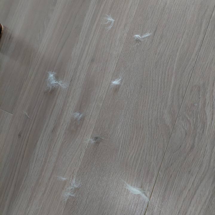 E6019d9e a109 4ed0 8521 91d5dea6c359 1645853553726