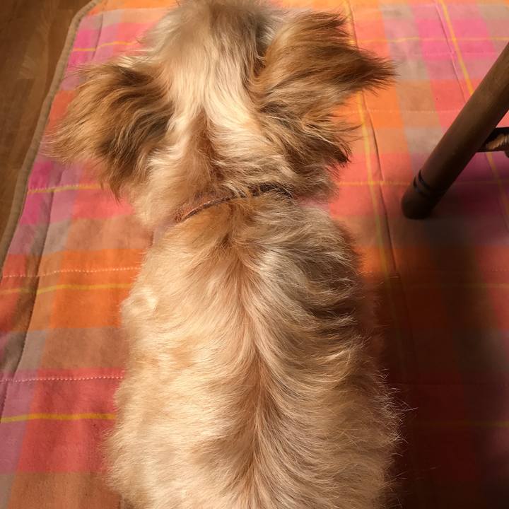 E601f0e7 7e23 4835 8b44 2b8d24dc7a7e 1508288142556