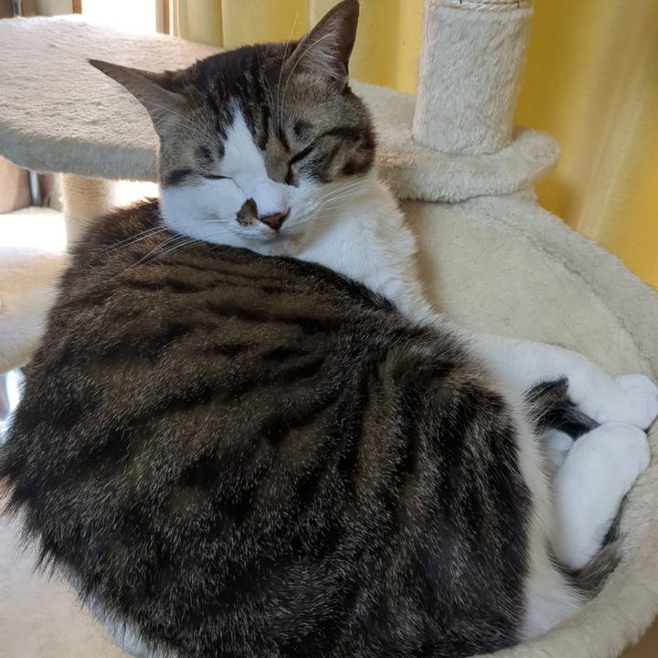 E6026276 4ff6 4456 857e a1218291bd14 1672726139413