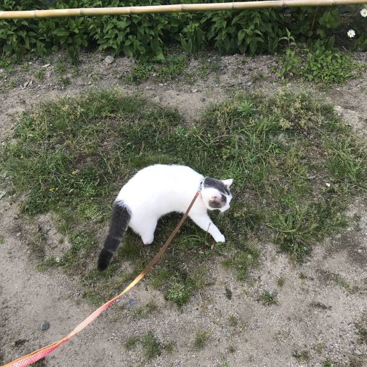 E6029126 3d57 4e83 9dea 844d04f78161 1527574562372