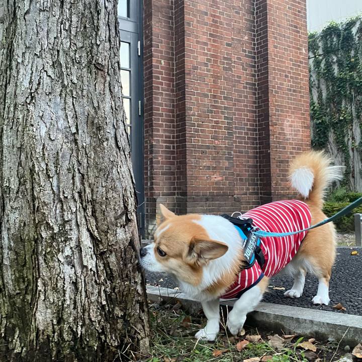 E60299b4 e10d 415f 9662 6679e84e806d 1665406336252