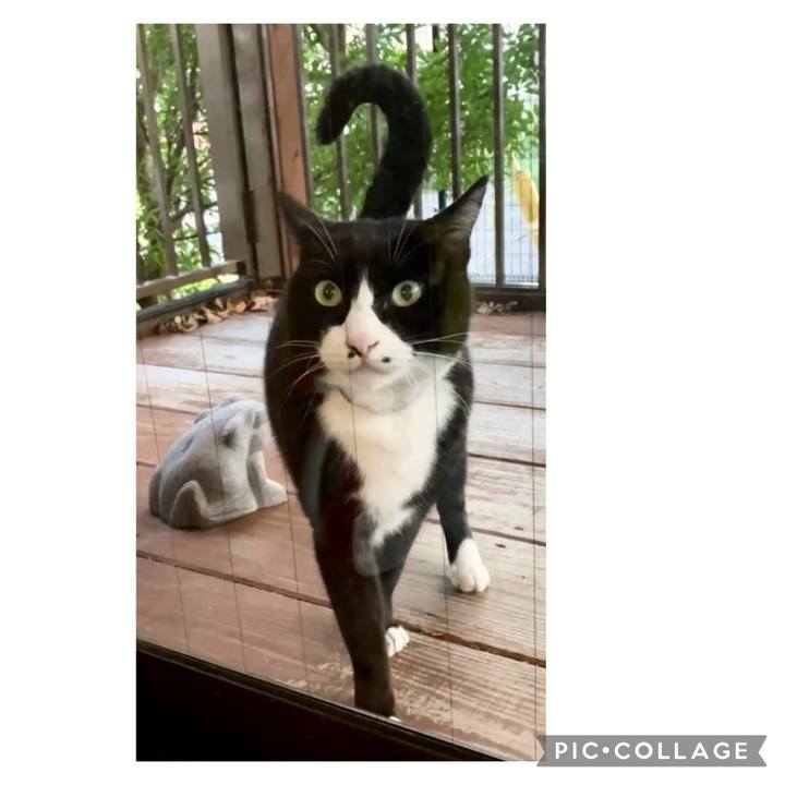 E602b71d ccd9 4935 a94b 3fc6ade7feb2 1732008379212