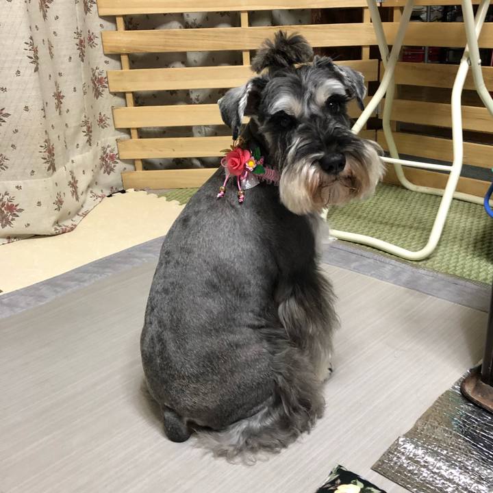 E602d428 4494 4cdb b3c2 faf286bfdfed 1577097455546