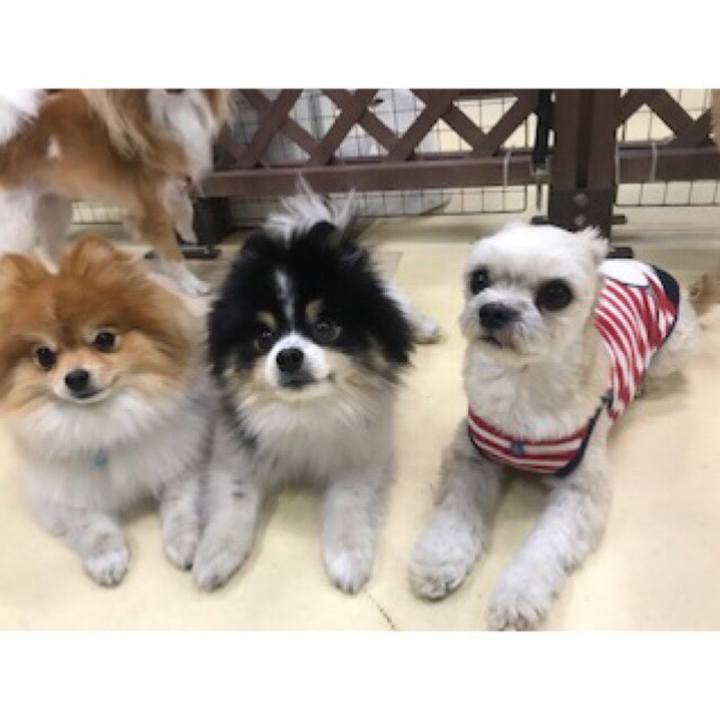 E602e9f5 385c 4ad8 8543 4c5704c62963 1548069182722