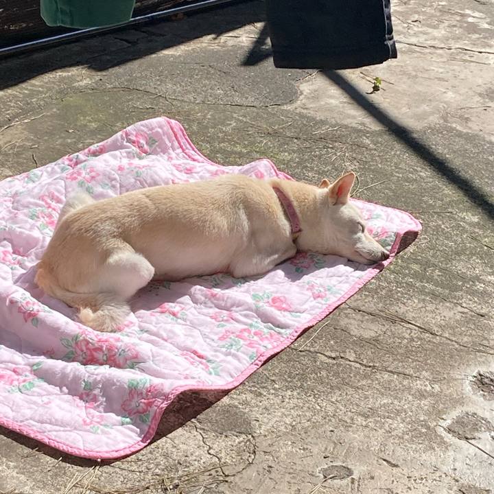 E6032756 438b 403f bf7b 9429acdd3d05 1683887944196