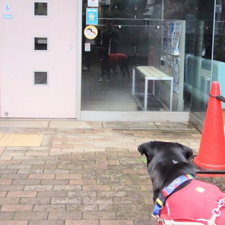 E6035406 2986 4d47 bf1f f829ee15e06f 1671326270218