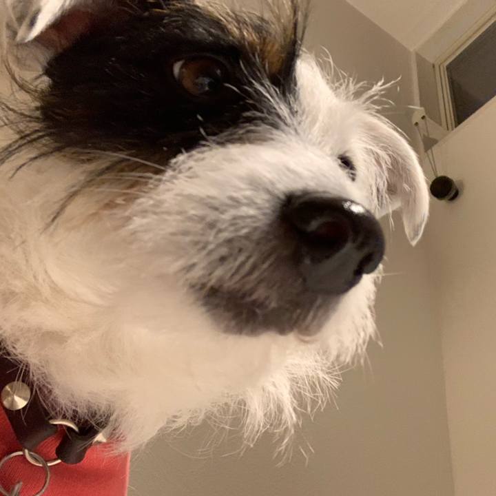 E60360bb 2177 478f b7f3 f300aba6fd5c 1548760718749