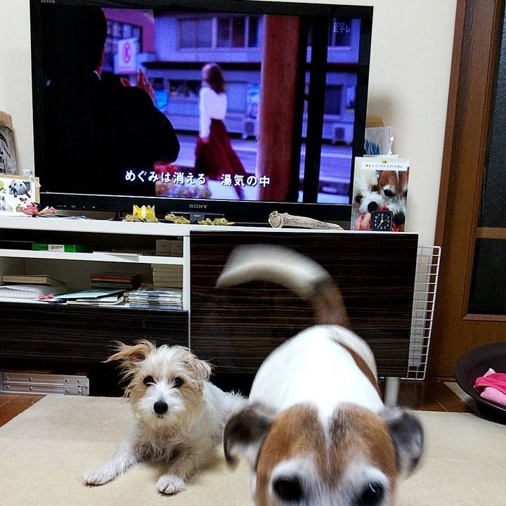 E6036443 5152 48ac 9273 c28f168faafe 1572472939073