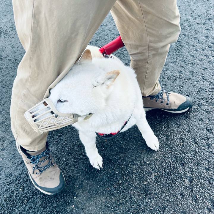 E6037ef4 afe8 47d5 8f2c 78167137a866 1711750225281