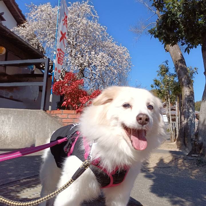 E6038e0c 0d37 4f50 9ed2 0b4905dc7187 1708212916084