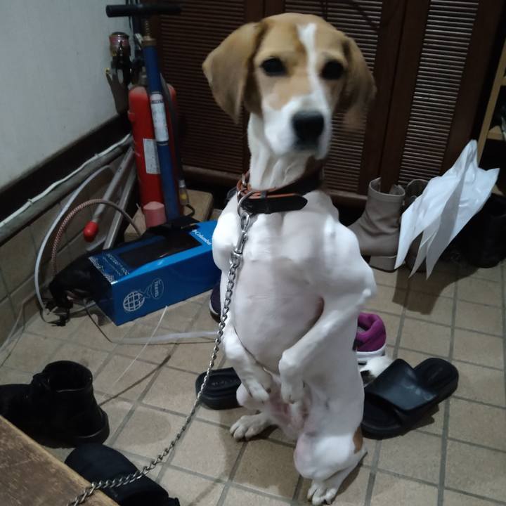 E6039d01 cf99 46e5 9599 941555ccb1eb 1646662692003