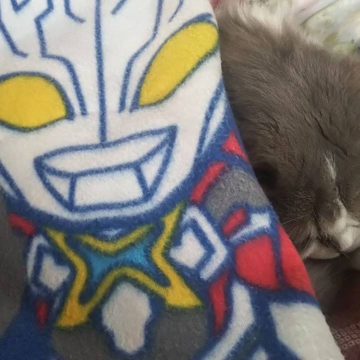 E603bc8e f20d 4768 b24e 2ae4c3f138a4 1642040464342