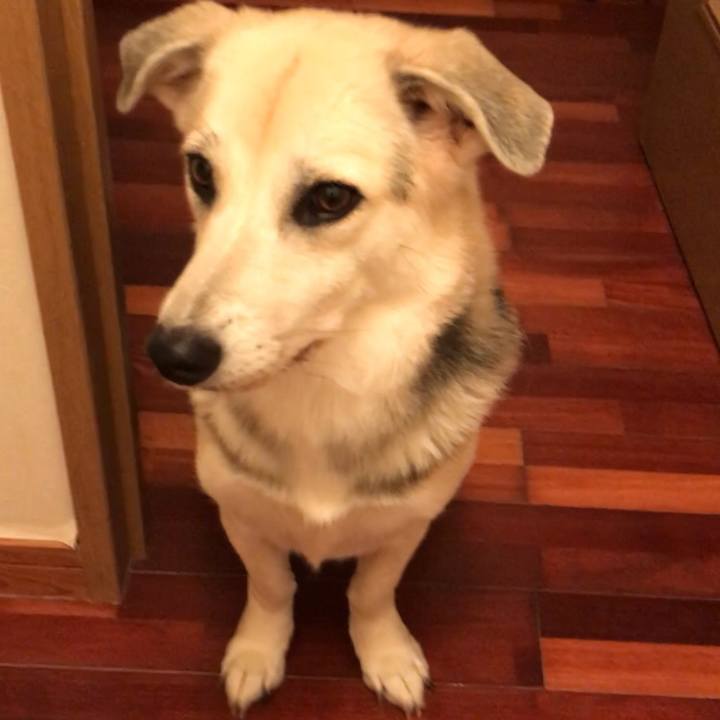 E603cf8c fcd4 4338 9cfa c63bc270f42d 1539437336899