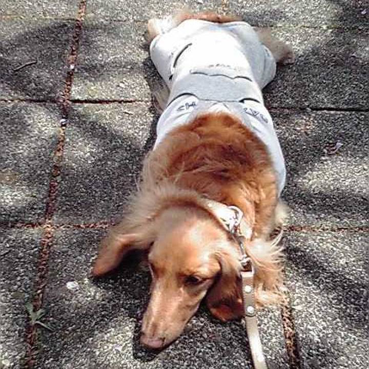 E603deeb 2141 4b00 af2d c0c9e1b11014 1765885511751