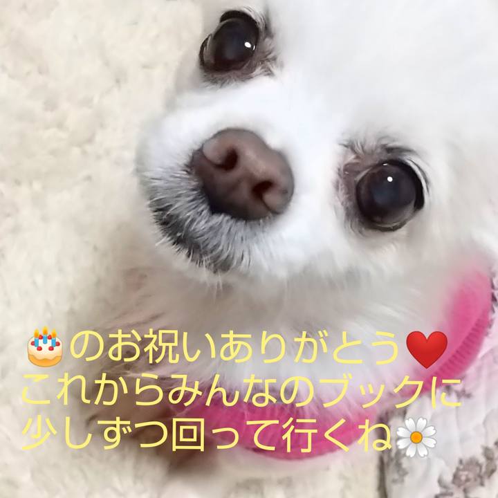 E6040204 c2f3 4193 a800 cf47795351bb 1585860675976