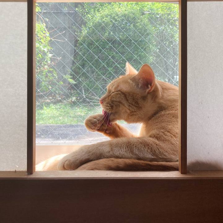 E604103b c220 4eab ab3e d456b039f058 1656474522438