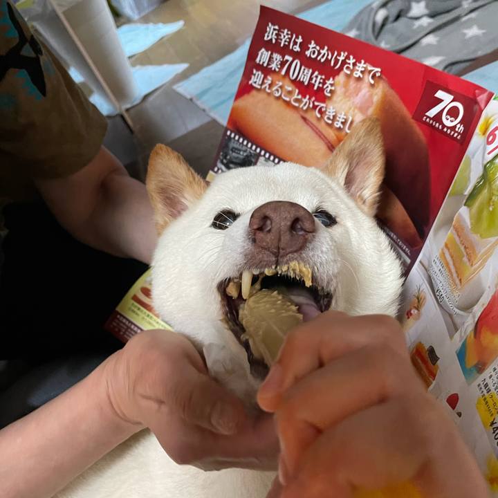 E6043d7e 99b7 4324 b688 85d1cbfc8c4d 1655800693579