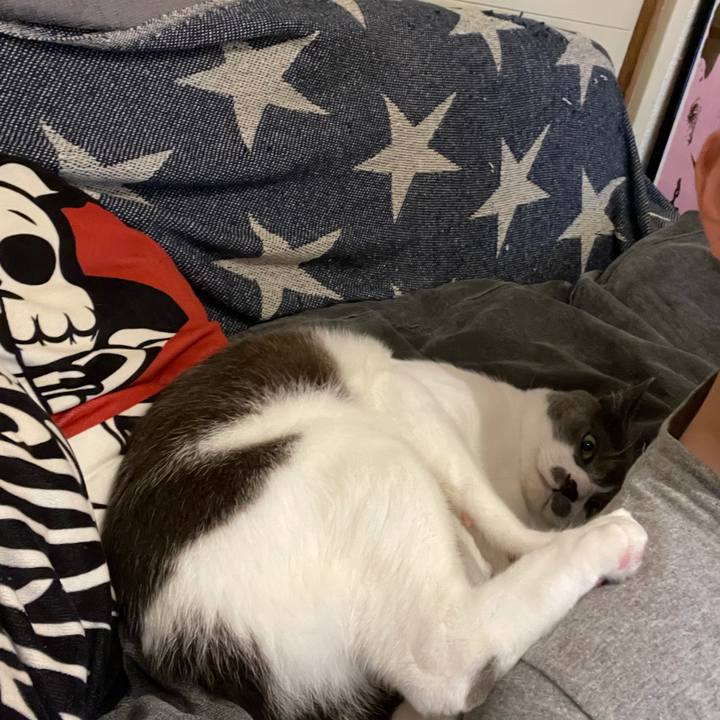 E604cc4b ffe3 44b5 9e8e d9d9f47e7958 1624621113712