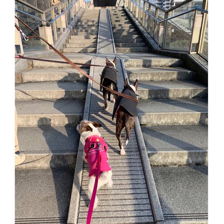 E604df67 ce2d 4018 b268 9e280cbd8402 1581160975930