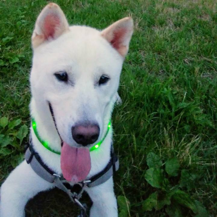 E6050578 a9e5 4fe2 bc78 b0af90841567 1532771795309