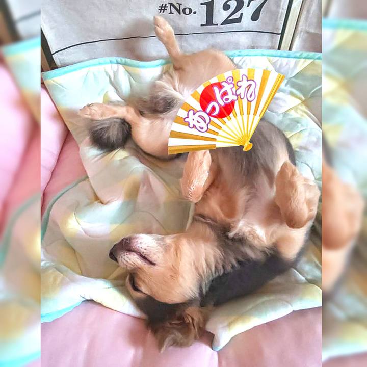 E6057307 9274 4df8 99ce adff14e2b6e8 1659161130428