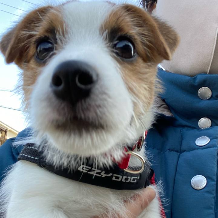 E6058413 ed5e 469c 8c13 9af387d6df09 1612055047241